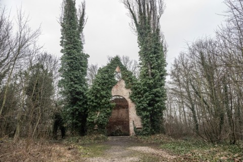 The overgrown chapel in Prague's 'lunatic graveyard'