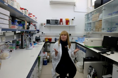 Deeply worried: Hinanit Koltai