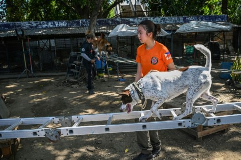 Philippine disaster agencies already have search and rescue dogs that are deployed when disasters strike