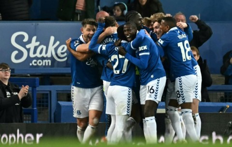 On top: Everton celebrate their win 