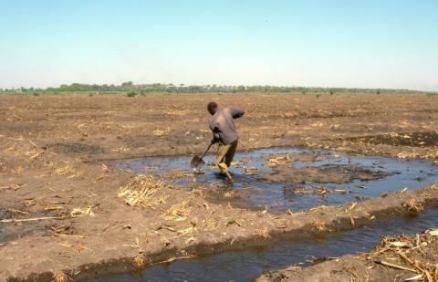 A farmer on his plot of land near Bol on Lake Chad, which has shrunk by 90 percent since the 1960s, leaving boats grounded and land barren