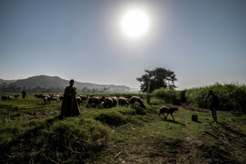 'On The Brink of Dreams' follows teenage girls in a rural part of Egypt