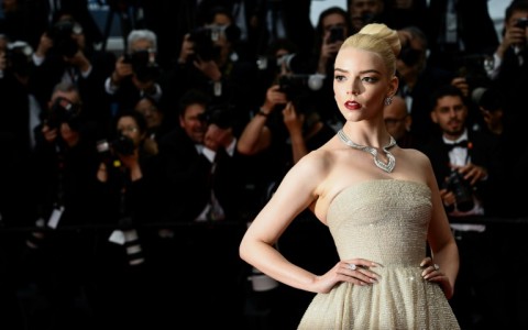 Anya Taylor-Joy stars in 'Furiosa: A Mad Max Saga'