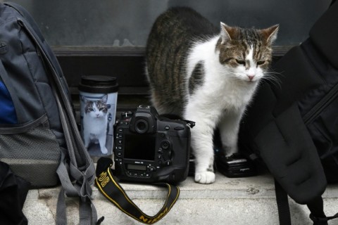 Larry is friendly with journalists covering politics