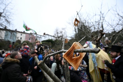 The word wassail comes from the Old English 'waes hael' meaning 'be in good health'