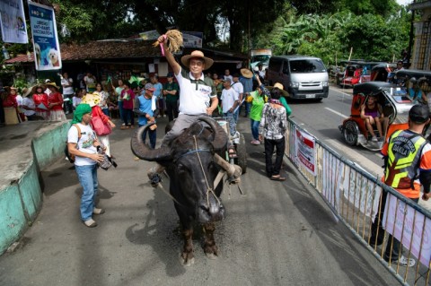 Senate candidate Danilo Ramos rides a water buffalo as he kicks off his campaign in the Philippines Bulacan province on Tuesday