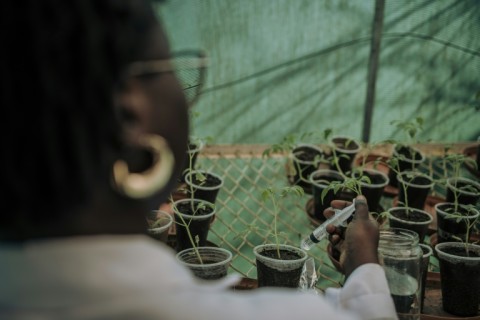 Marie Elodie Yeo Guefala pointed to the difficulty of studying with frequent power cuts 