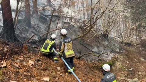 Japan firefighters battle forest blaze in Iwate