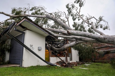 A tree uprooted by strong winds crashed into a home in Elanora, a suburb of Australia's  Gold Coast 