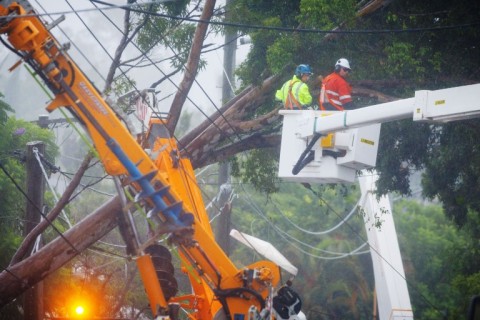 Energex utility crews clear a fallen tree following the passage of tropical cyclone Alfred in Brisbane 