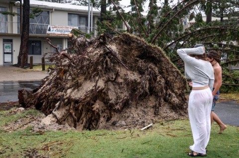 Wild weather uprooted a tree on eastern Australia's Gold Coast 