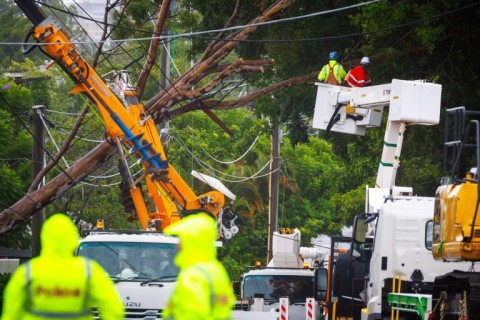 Utility crews clear a fallen tree following the passage of ex-tropical cyclone Alfred in Brisbane 
