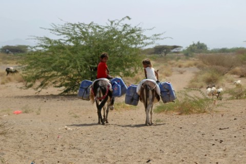 The Iran-backed Huthis control much of the Arabian Peninsula's poorest country