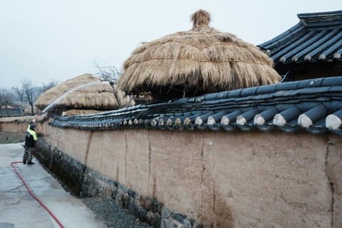 A man sprays water onto a thatched roofat the Andong Hahoe Folk Village