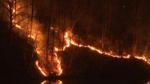 South Korea's largest wildfires tear through mountains