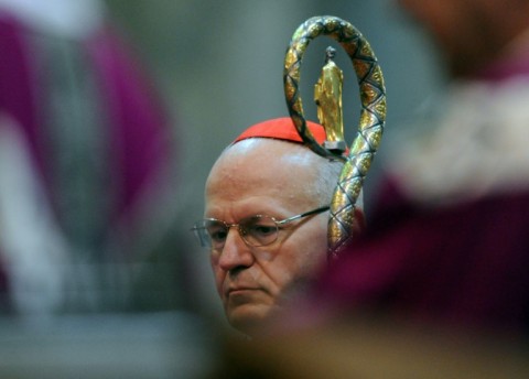 Peter Erdo is an intellectual and respected expert in canon law