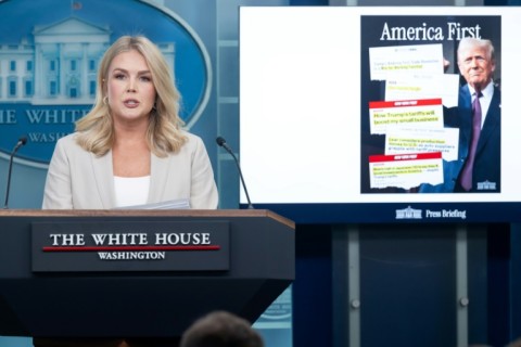 White House Press Secretary Karoline Leavitt speaks during the daily briefing in the Brady Briefing Room of the White House in Washington, DC, on April 1, 2025.