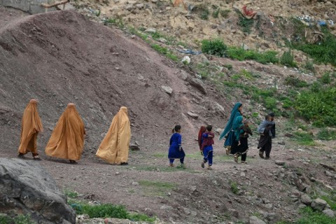 Some 600,000 Afghans have crossed the border into Pakistan since the Taliban government implemented their austere version of Islamic law