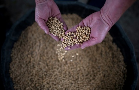 Farmers worry that China's retaliatory tariffs on American goods will reduce incentives to purchase US agricultural products