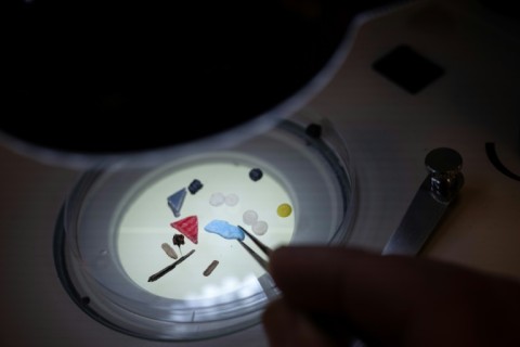 Microplastics under a microscope in a laboratory at the University of Plymouth