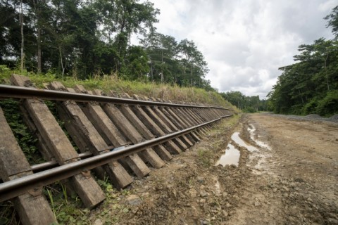 Wooden track parts are prone to rotting in Gabon's humid jungle climate