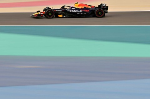 Red Bulls now thrive where camels used to graze