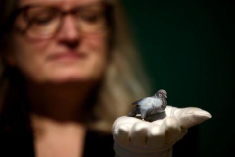 Edward discovered a passion for Faberge miniatures, such as this tiny pigeon