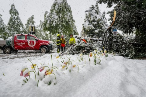 Many roads and tunnels are shut in all three countries due to fallen trees or avalanche risks
