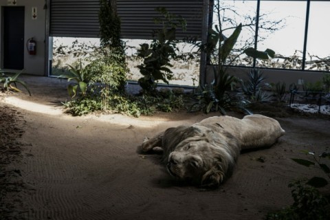 The school aims to curb poaching by teaching investigation skills to rangers, conservation officers and law enforcement
