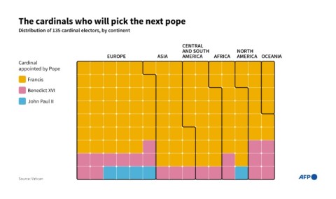 The cardinals who will pick the next pope