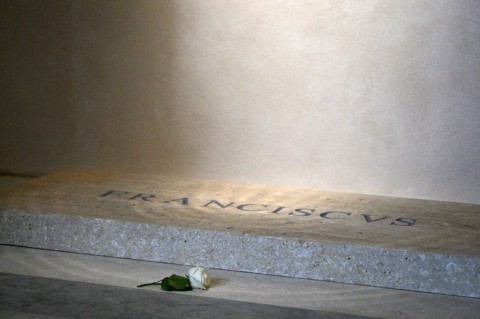 Francis's tomb has a single white rose on it