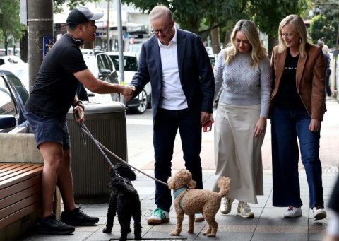 The scale of Albanese's win took his own party by surprise