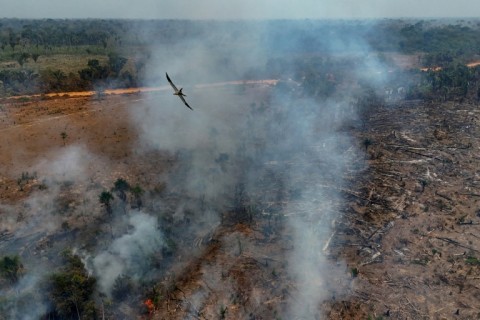 Illegal burning of the Amazon rainforest near Humaita, in the northern Brazilian state of Amazonas, in September 2024