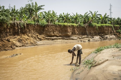 Abuja farms owe much of their existence to the fact that they lie in hard-to-develop gulches along creek beds