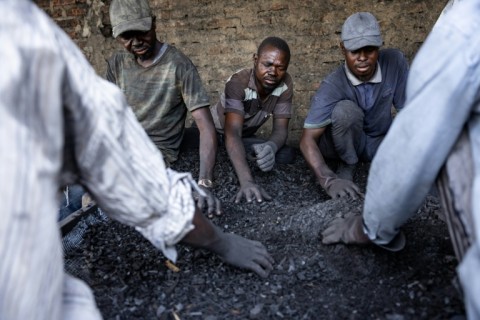 Chad has lost more than 90 percent of its forest cover since the 1970s, officials say