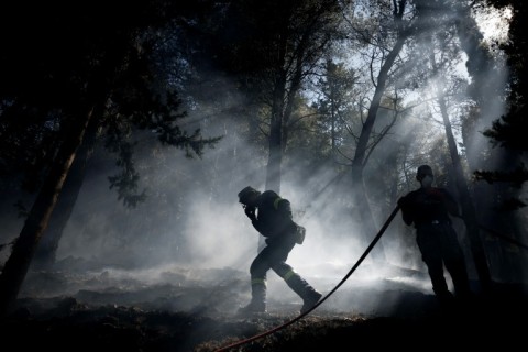 Some 190 firefighters, 38 vehicles, 12 helicopters and four water-bombers have been deployed