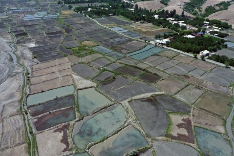 Rice husks from the region's paddy fields are usually burned or thrown away