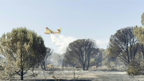 Forest fires break out as heatwave grips southern Europe