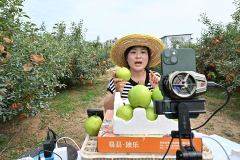 With Chinese consumers buying anything from clothes to makeup to garlic online, livestreaming has become an essential marketing platform for farmers
