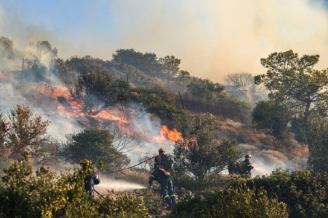 Greece recorded its hottest ever summer last year when 45,000 hectares were torched