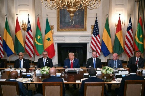 US President Donald Trump (C) speaks during a multilateral lunch with visiting African leaders at the White House