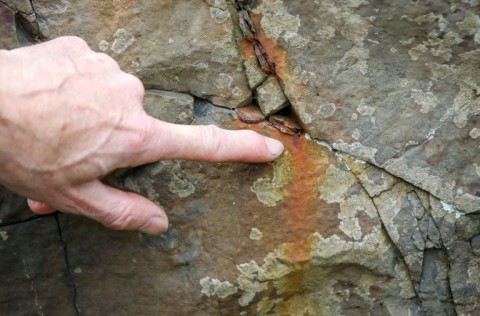 Coins rapidly corrode and expand, causing the rock to flake and leaving rust-coloured streaks