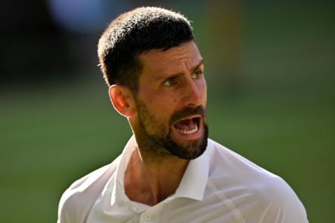 Novak Djokovic aims to reach an 11th Wimbledon final