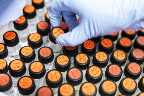 Vials containing dissolved raw materials used to develop perfume oil formulas in a mixing room at the Symrise company in Holzminden