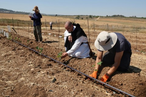 Latrun's monks are Trappists, a Catholic order centred on contemplation and simplicity