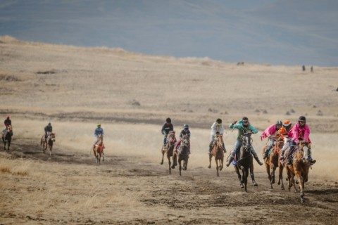 Jockeys competed in seven races in the season's premium fixture