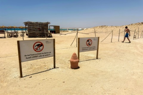 A tourist walks past signs warning people not to disturb the local marine life and wildlife at the beach at the Ras Hankorab
