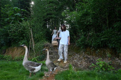 Chen Yani walks with two geese at her co-living space in eastern China's Hangzhou
