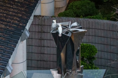 Two yellow-crested cockatoos resting atop a statue in Hong Kong Park