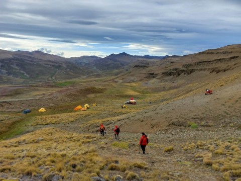 The fossil was discovered in the Rio de Las Chinas Valley in the Magallanes region of Chile